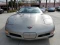 Light Pewter Metallic - Corvette Convertible Photo No. 2