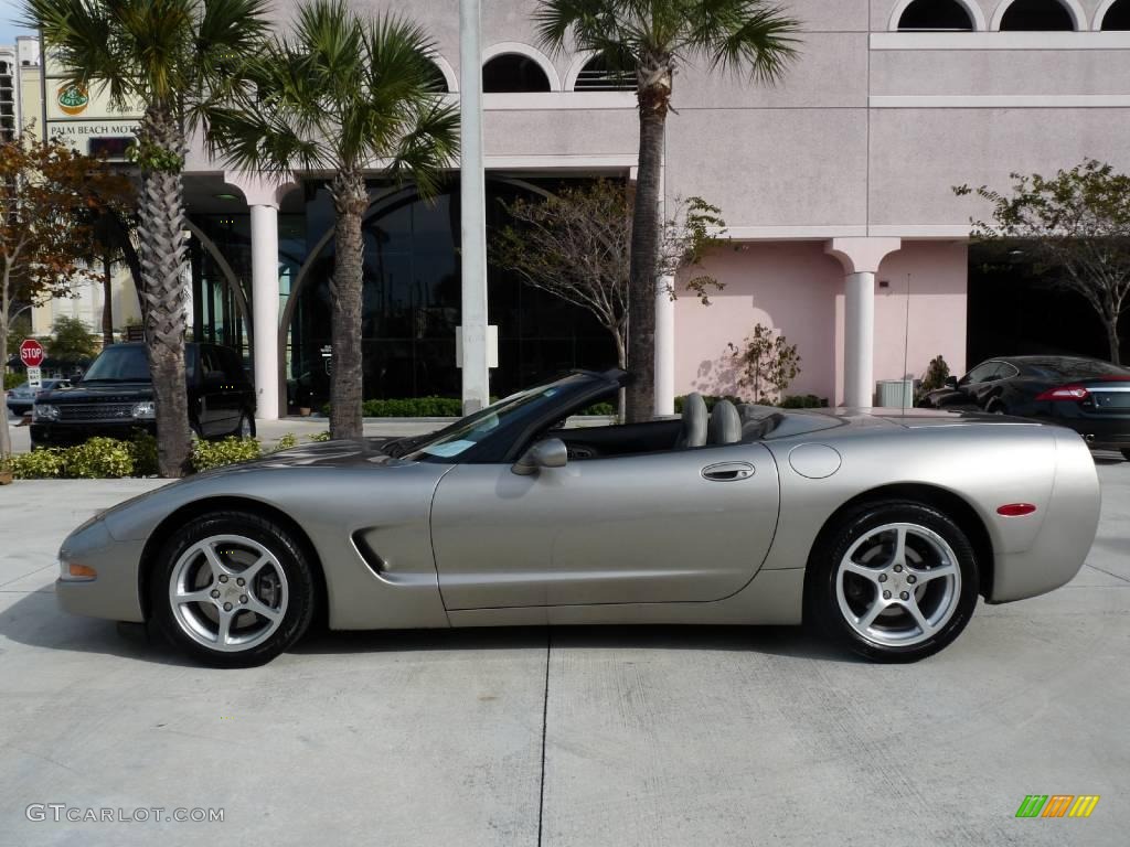 2000 Corvette Convertible - Light Pewter Metallic / Light Oak photo #3