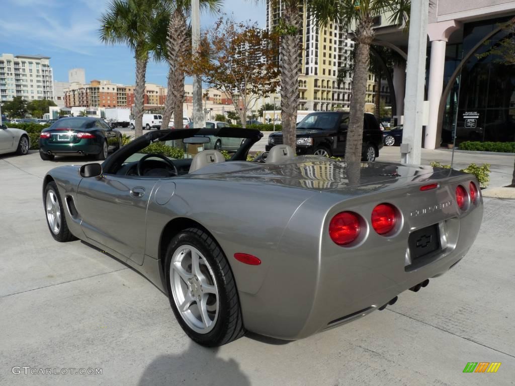 2000 Corvette Convertible - Light Pewter Metallic / Light Oak photo #4