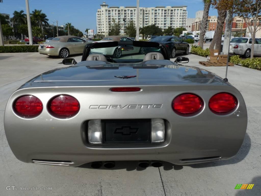 2000 Corvette Convertible - Light Pewter Metallic / Light Oak photo #5