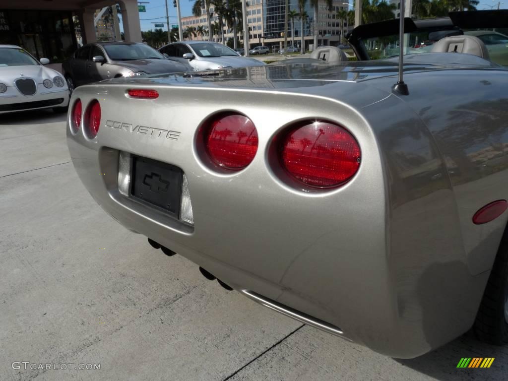 2000 Corvette Convertible - Light Pewter Metallic / Light Oak photo #6