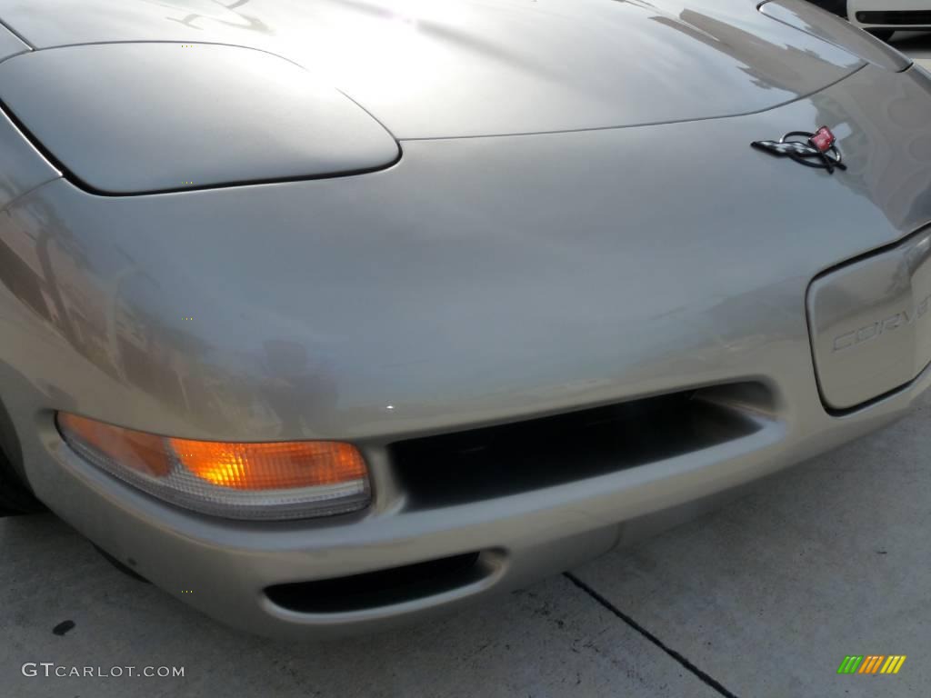 2000 Corvette Convertible - Light Pewter Metallic / Light Oak photo #8