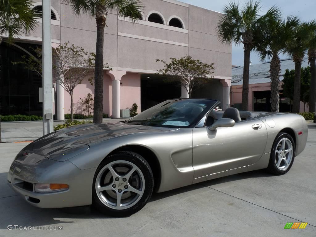 2000 Corvette Convertible - Light Pewter Metallic / Light Oak photo #10