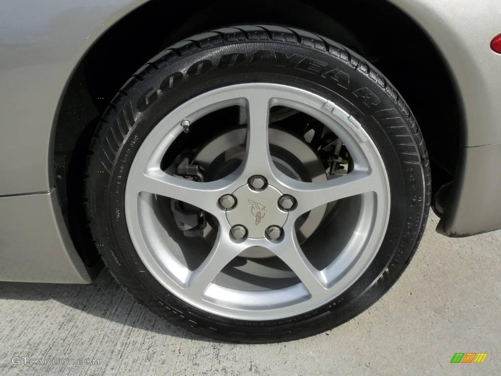 2000 Corvette Convertible - Light Pewter Metallic / Light Oak photo #11