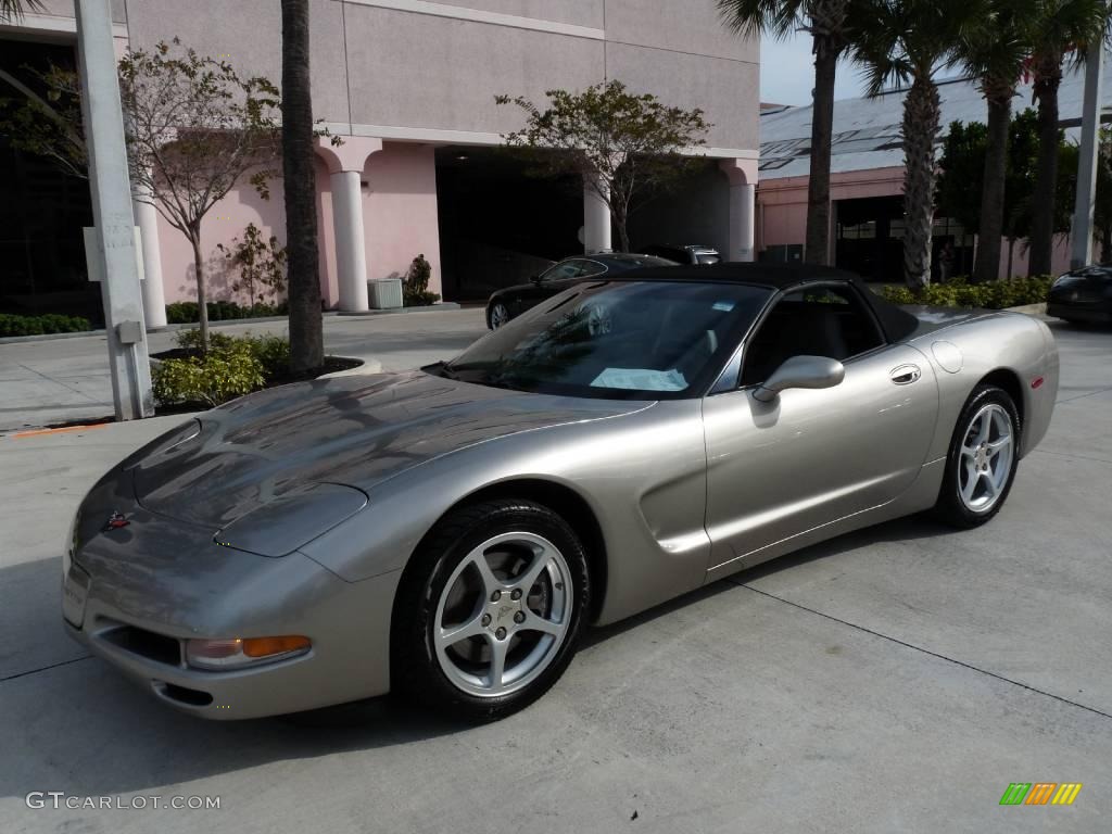 2000 Corvette Convertible - Light Pewter Metallic / Light Oak photo #12