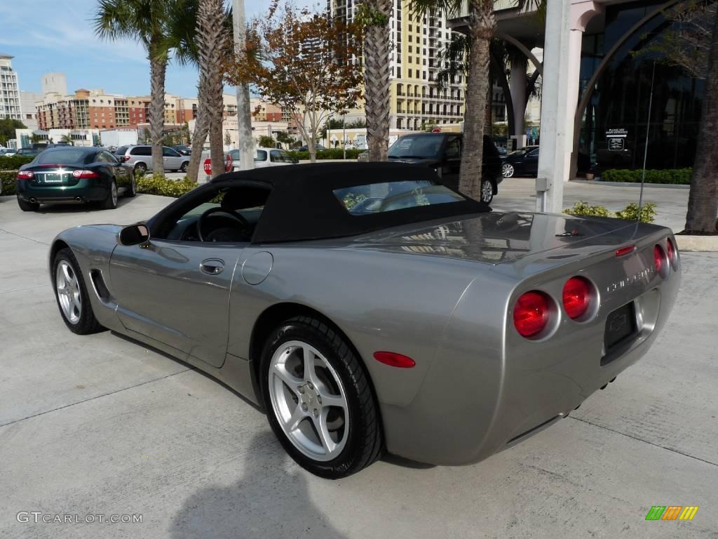 2000 Corvette Convertible - Light Pewter Metallic / Light Oak photo #14