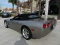 Light Pewter Metallic - Corvette Convertible Photo No. 14