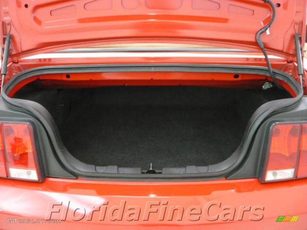 2007 Mustang V6 Deluxe Convertible - Torch Red / Light Graphite photo #11