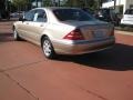 Desert Silver Metallic - S 500 Sedan Photo No. 6