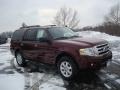 Royal Red Metallic 2010 Ford Expedition XLT 4x4
