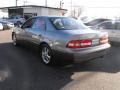 Graphite Gray Metallic - ES 300 Photo No. 7