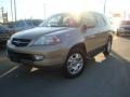 Mesa Beige Metallic - MDX Touring Photo No. 1