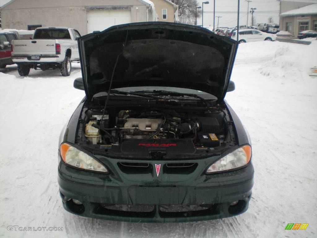 2002 Grand Am GT Sedan - Polo Green Metallic / Dark Pewter photo #12