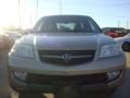 Mesa Beige Metallic - MDX Touring Photo No. 2