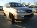 Mesa Beige Metallic - MDX Touring Photo No. 6