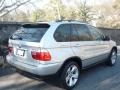 2005 Titanium Silver Metallic BMW X5 4.4i  photo #2