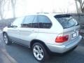 2005 Titanium Silver Metallic BMW X5 4.4i  photo #4