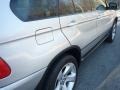 Titanium Silver Metallic - X5 4.4i Photo No. 13