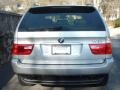 2005 Titanium Silver Metallic BMW X5 4.4i  photo #19