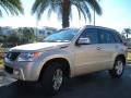 Clear Beige Metallic - Grand Vitara Luxury 4x4 Photo No. 2