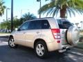 Clear Beige Metallic - Grand Vitara Luxury 4x4 Photo No. 8