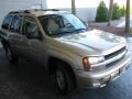 Sandstone Metallic - TrailBlazer LS Photo No. 4