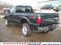 Forest Green Metallic - F350 Super Duty XLT Regular Cab 4x4 Photo No. 10