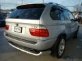 2006 Titanium Silver Metallic BMW X5 4.8is  photo #3