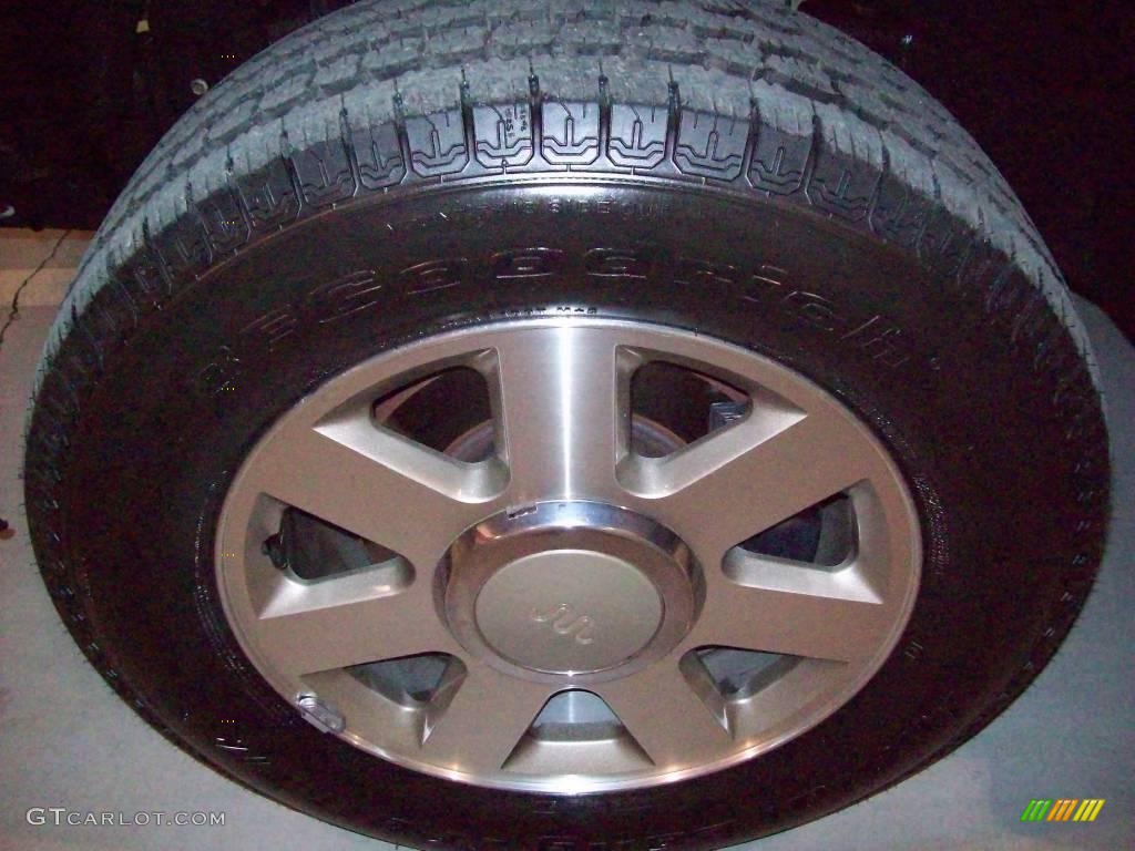 2006 F150 King Ranch SuperCrew - Dark Copper Metallic / Castano Brown Leather photo #9