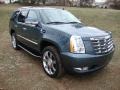 Stealth Gray - Escalade AWD Photo No. 4
