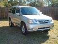 2006 Platinum Silver Metallic Mazda Tribute i  photo #4