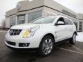 Platinum Ice Tricoat - SRX V6 Photo No. 1