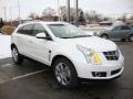 Platinum Ice Tricoat - SRX V6 Photo No. 3