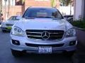 2007 Iridium Silver Metallic Mercedes-Benz ML 350 4Matic  photo #19