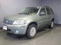 Light Tundra Metallic - Mariner Luxury 4WD Photo No. 1