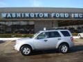 2009 Brilliant Silver Metallic Ford Escape XLT V6 4WD  photo #1