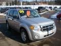 2009 Brilliant Silver Metallic Ford Escape XLT V6 4WD  photo #6