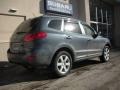 2007 Platinum Sage Hyundai Santa Fe SE 4WD  photo #3