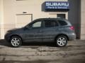 2007 Platinum Sage Hyundai Santa Fe SE 4WD  photo #6