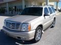 2006 Quicksilver Cadillac Escalade AWD  photo #1