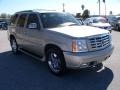 2006 Quicksilver Cadillac Escalade AWD  photo #3