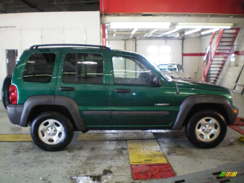 2004 Liberty Sport 4x4 - Timberline Green Pearl / Dark Slate Gray photo #10