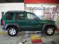 2004 Timberline Green Pearl Jeep Liberty Sport 4x4  photo #10