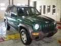 2004 Timberline Green Pearl Jeep Liberty Sport 4x4  photo #11