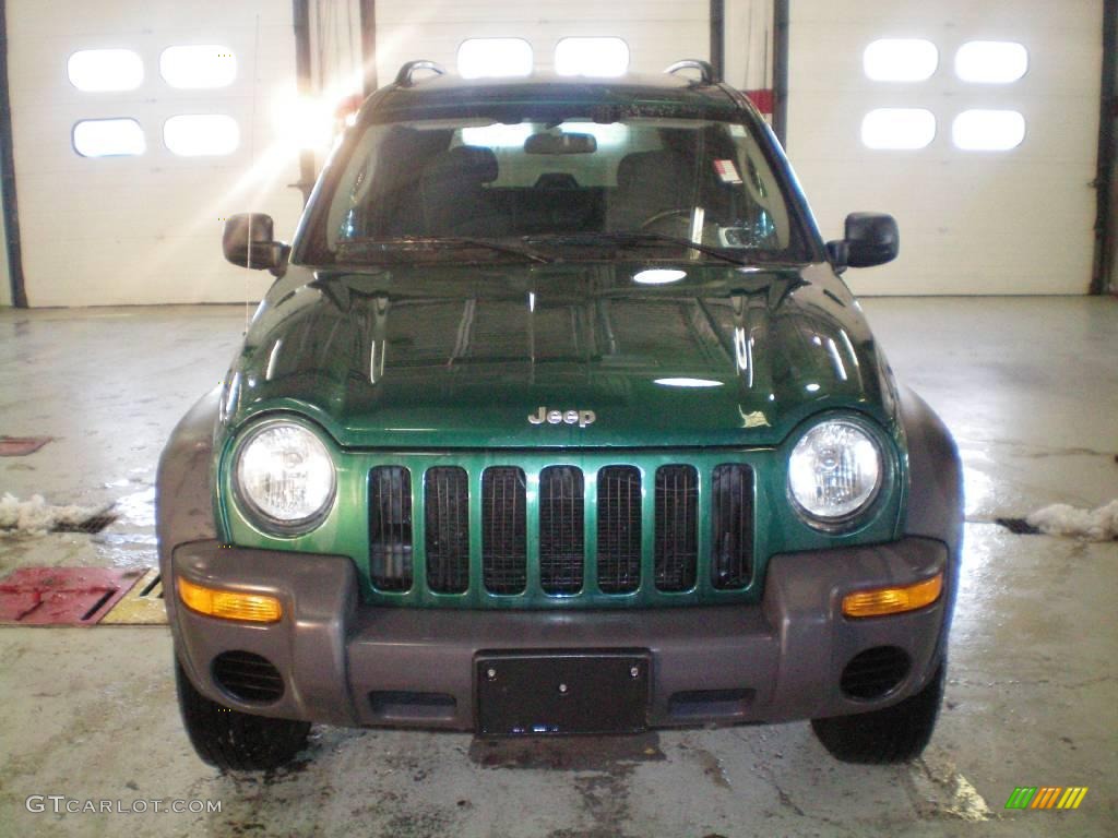 2004 Liberty Sport 4x4 - Timberline Green Pearl / Dark Slate Gray photo #12