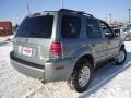 Light Tundra Metallic - Mariner Luxury 4WD Photo No. 5