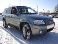 Light Tundra Metallic - Mariner Luxury 4WD Photo No. 7