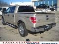 2010 Pueblo Gold Metallic Ford F150 XLT SuperCrew 4x4  photo #8