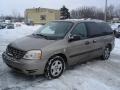 2005 Arizona Beige Metallic Ford Freestar SE  photo #1