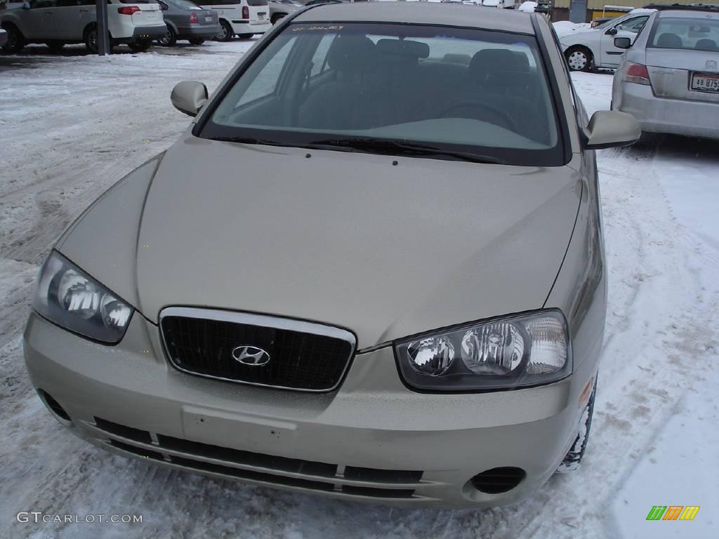 2001 Elantra GLS - Champagne / Beige photo #2